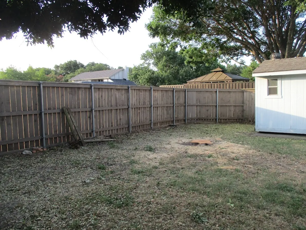 Cleared yard after professional tree removal in Blossburg